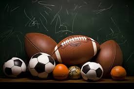 《宝可梦》死忠粉已为＂世界末日＂做好准备：留下火种！